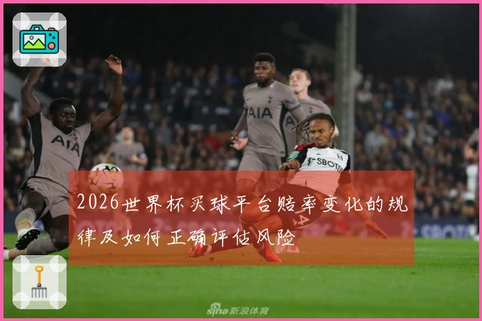2026世界杯买球平台赔率变化的规律及如何正确评估风险