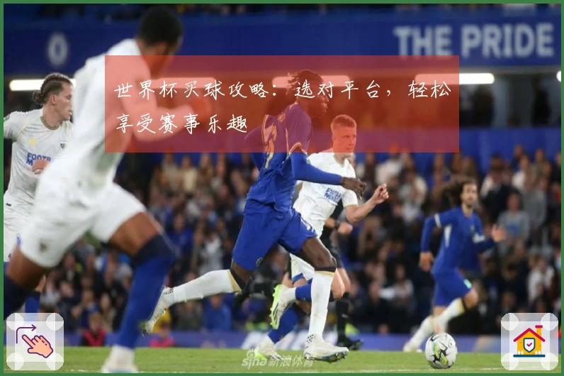 世界杯买球攻略：选对平台，轻松享受赛事乐趣
