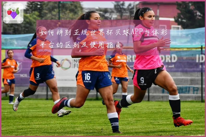 如何辨别正规世界杯买球APP与体彩平台的区别及使用指南