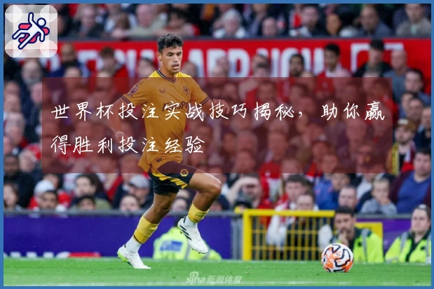 世界杯投注实战技巧揭秘，助你赢得胜利投注经验