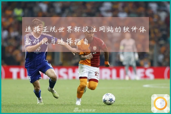 选择正规世界杯投注网站的软件体验对比与选择指南