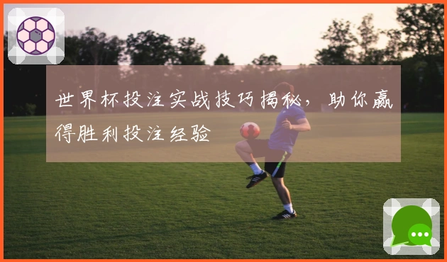 世界杯投注实战技巧揭秘，助你赢得胜利投注经验