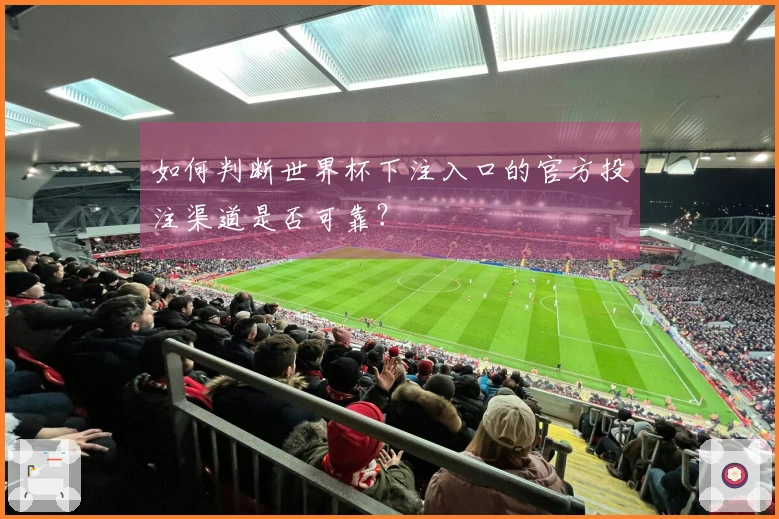如何判断世界杯下注入口的官方投注渠道是否可靠？