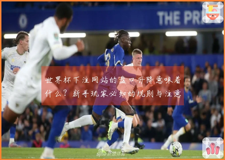 世界杯下注网站的盘口升降意味着什么？新手玩家必知的规则与注意事项