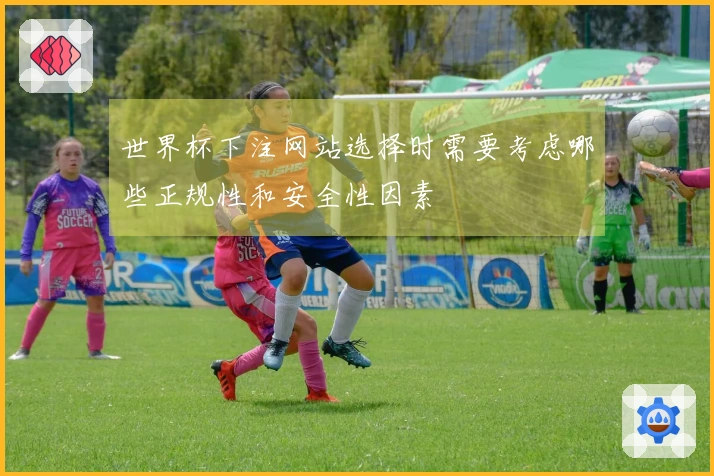 世界杯下注网站选择时需要考虑哪些正规性和安全性因素