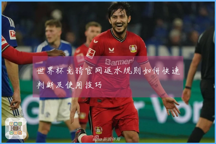 世界杯竞猜官网返水规则如何快速判断及使用技巧