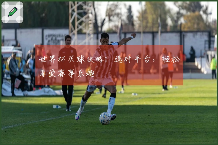 世界杯买球攻略：选对平台，轻松享受赛事乐趣
