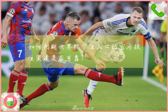 如何判断世界杯下注入口的官方投注渠道是否可靠？
