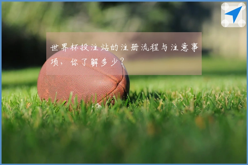 世界杯投注站的注册流程与注意事项，你了解多少？