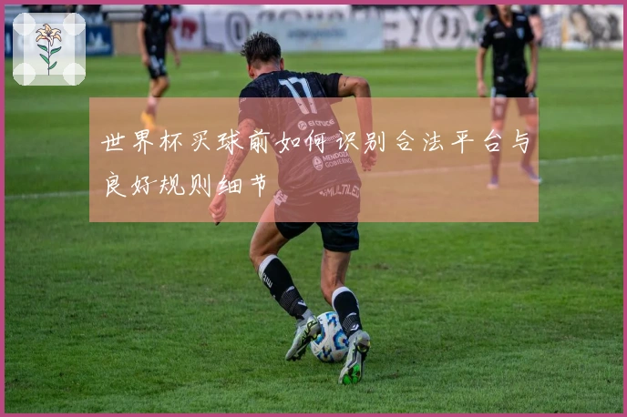 世界杯买球前如何识别合法平台与良好规则细节
