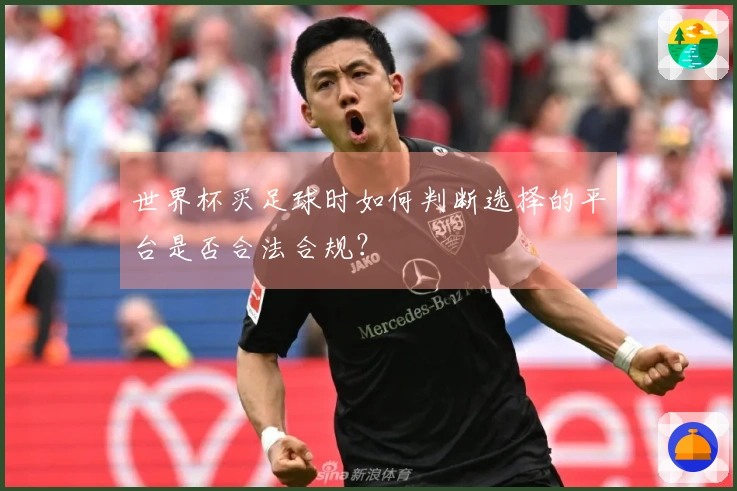 世界杯买足球时如何判断选择的平台是否合法合规？