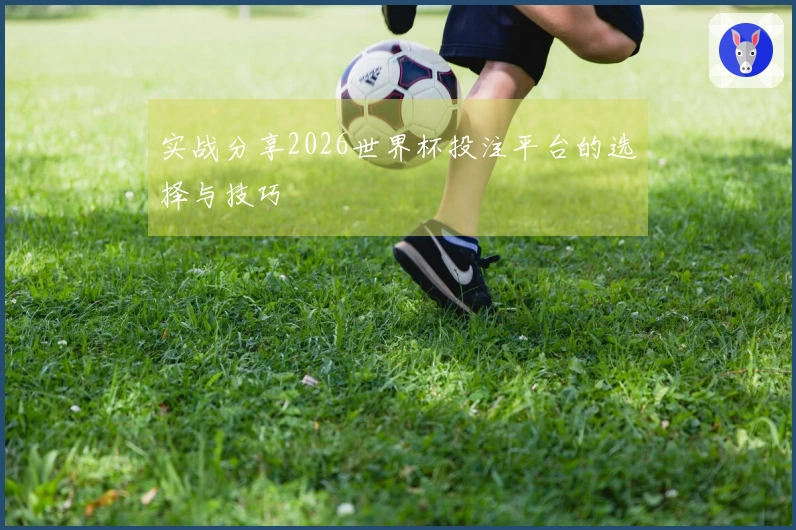 实战分享2026世界杯投注平台的选择与技巧