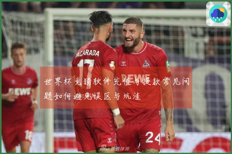 世界杯竞猜软件充值与提款常见问题如何避免误区与坑洼