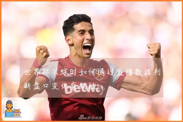 世界杯买球时如何通过直播数据判断盘口变化有效性