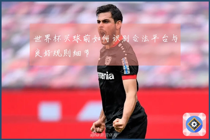 世界杯买球前如何识别合法平台与良好规则细节