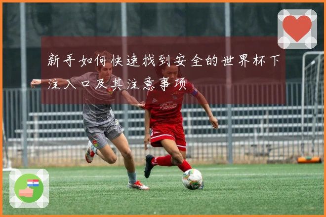 新手如何快速找到安全的世界杯下注入口及其注意事项