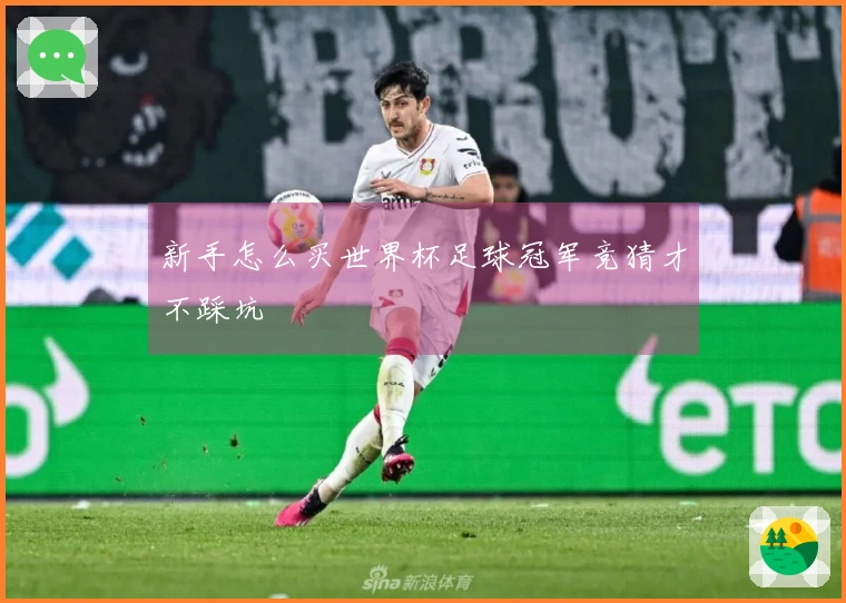 新手怎么买世界杯足球冠军竞猜才不踩坑