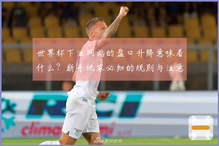世界杯下注网站的盘口升降意味着什么？新手玩家必知的规则与注意事项