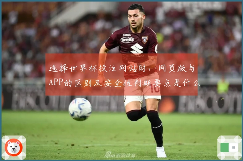 选择世界杯投注网站时，网页版与APP的区别及安全性判断要点是什么？