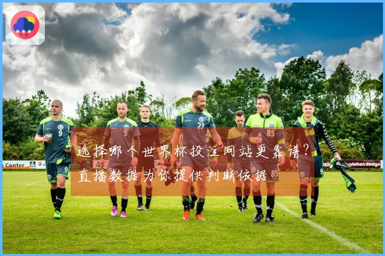 选择哪个世界杯投注网站更靠谱？直播数据为你提供判断依据
