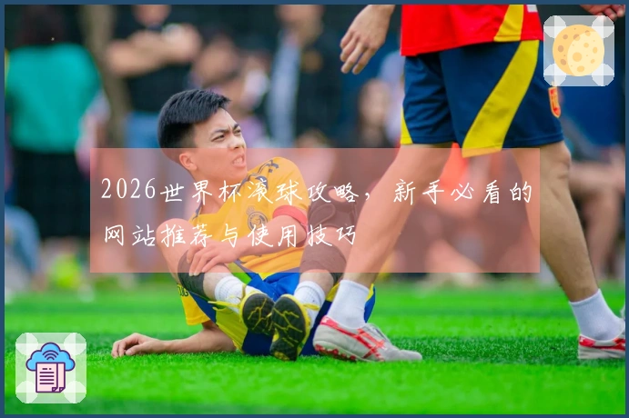 2026世界杯滚球攻略，新手必看的网站推荐与使用技巧