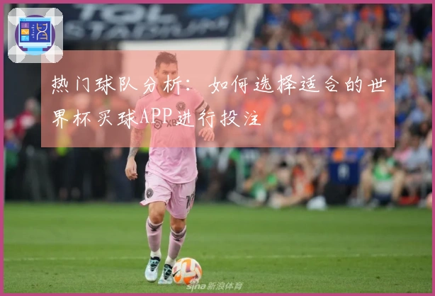 热门球队分析：如何选择适合的世界杯买球APP进行投注