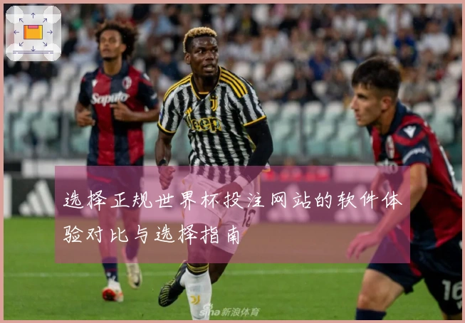 选择正规世界杯投注网站的软件体验对比与选择指南