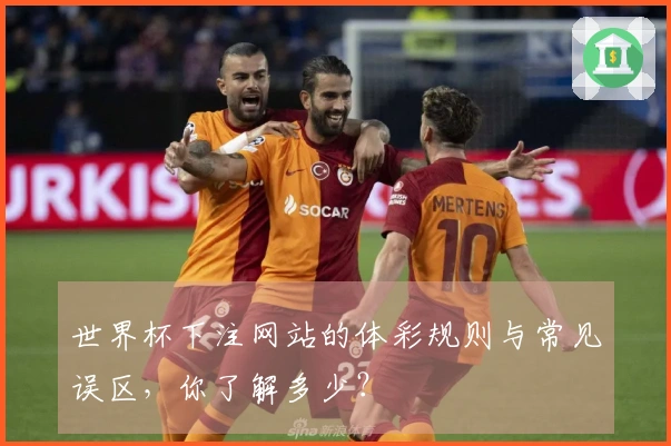 世界杯下注网站的体彩规则与常见误区，你了解多少？