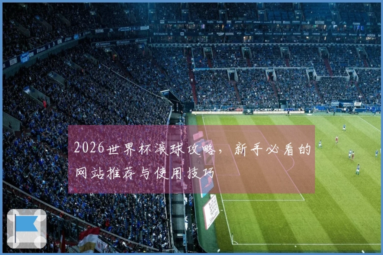 2026世界杯滚球攻略,新手必看的网站推荐与使用技巧
