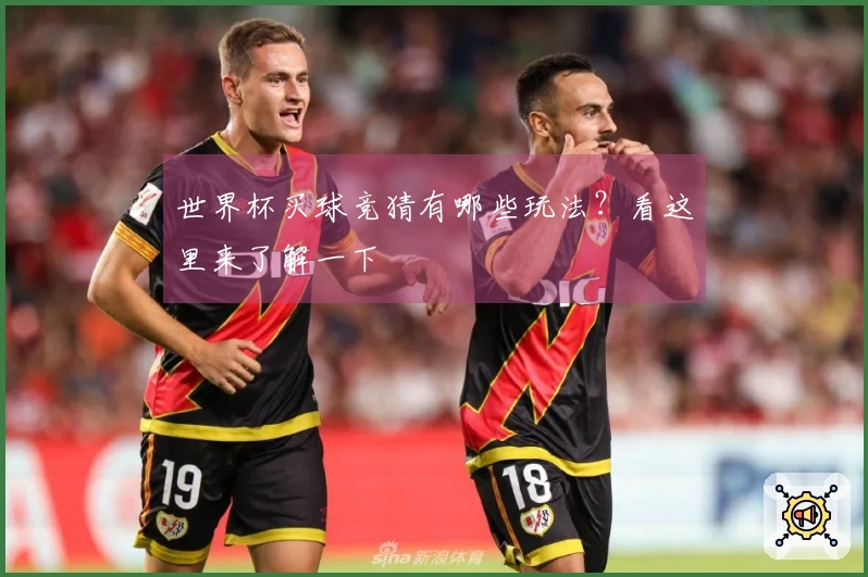 世界杯买球竞猜有哪些玩法？看这里来了解一下