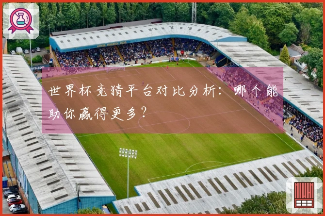 世界杯竞猜平台对比分析：哪个能助你赢得更多？