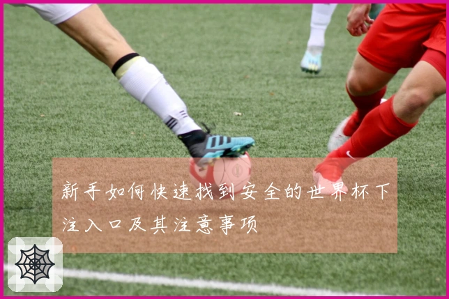新手如何快速找到安全的世界杯下注入口及其注意事项