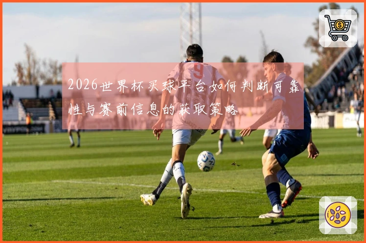 2026世界杯买球平台如何判断可靠性与赛前信息的获取策略