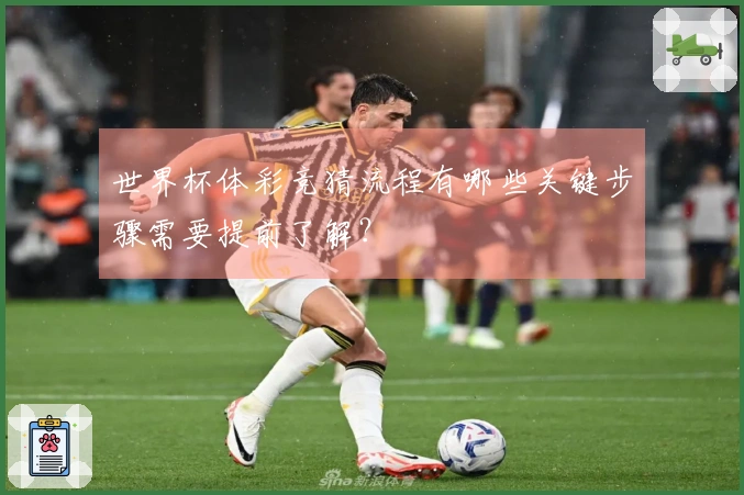 世界杯体彩竞猜流程有哪些关键步骤需要提前了解？