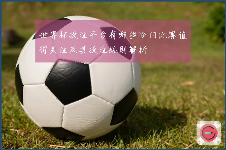 世界杯投注平台有哪些冷门比赛值得关注及其投注规则解析