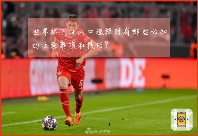 世界杯下注入口选择时有哪些必知的注意事项和技巧？