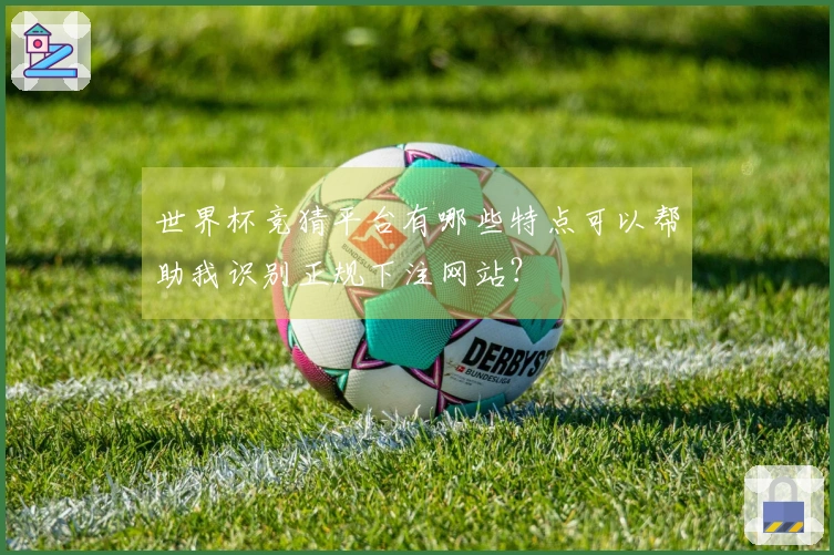 世界杯竞猜平台有哪些特点可以帮助我识别正规下注网站？